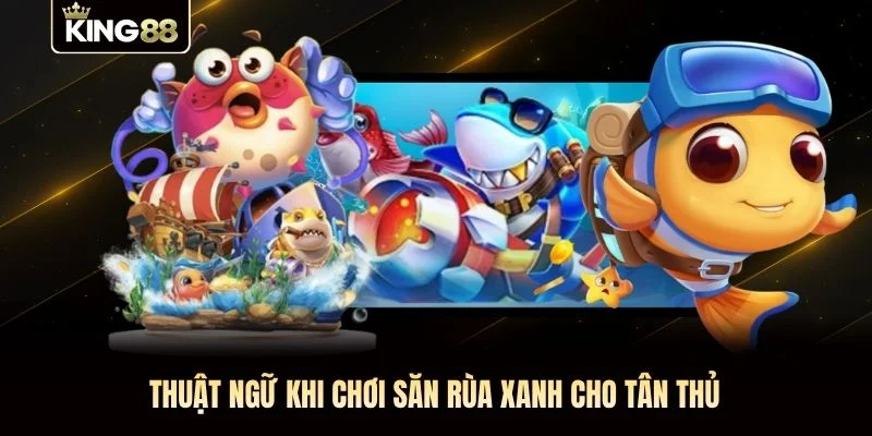 Thuật ngữ khi chơi săn rùa xanh cho tân thủ